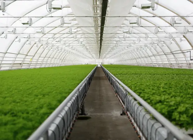 Equipe RL Consultoria