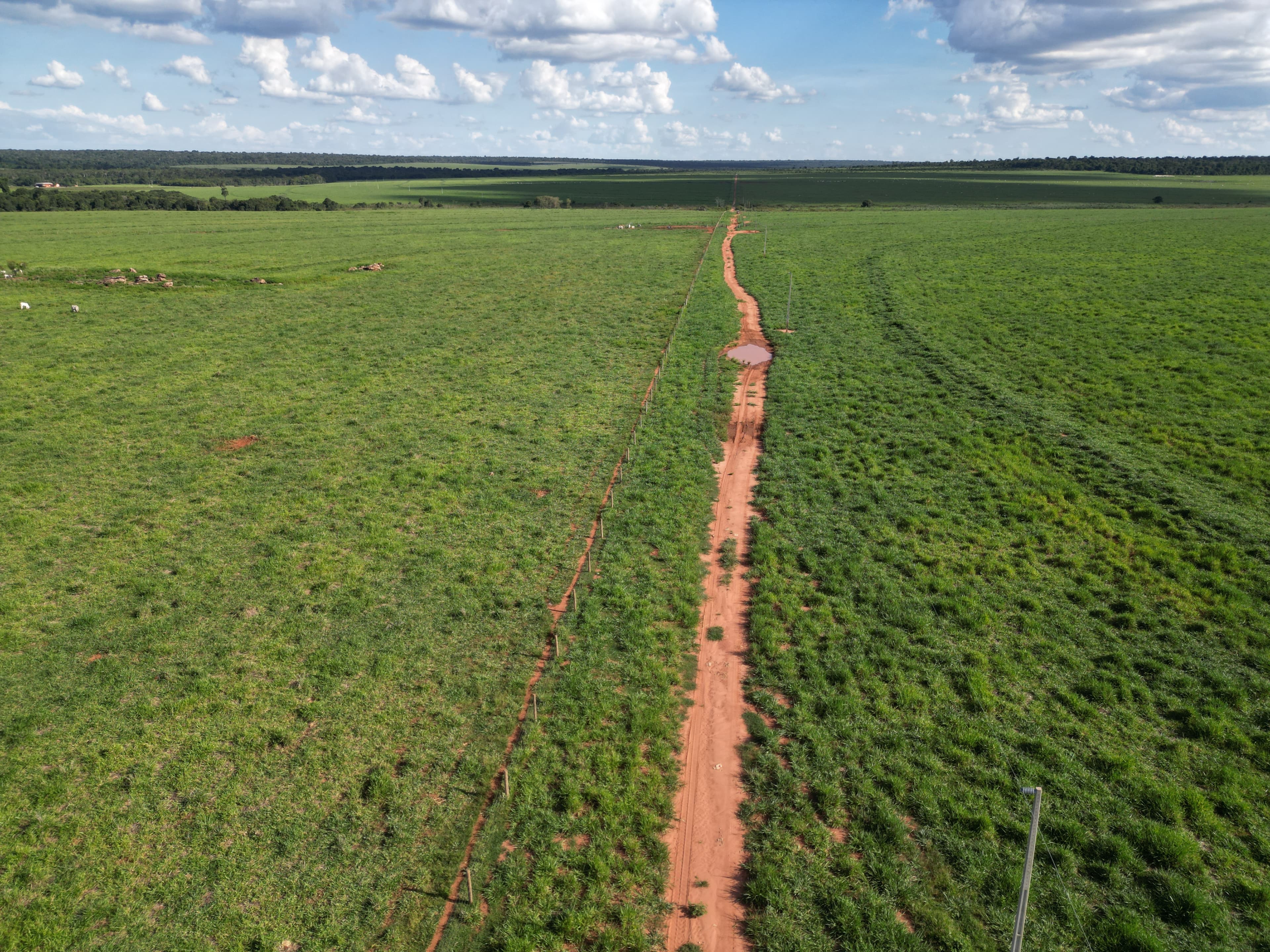 Fazenda Álamo
