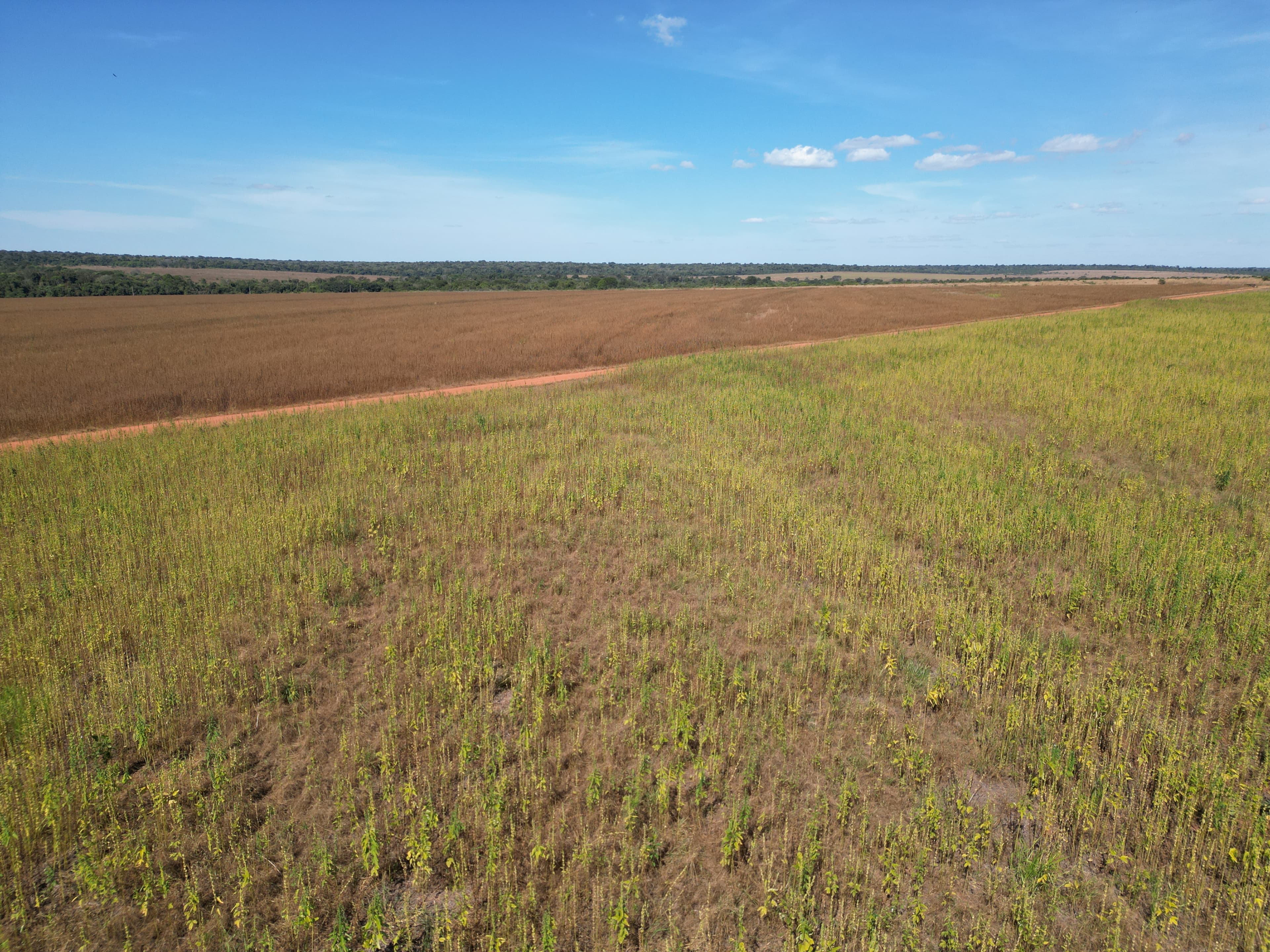 Fazenda Bonança