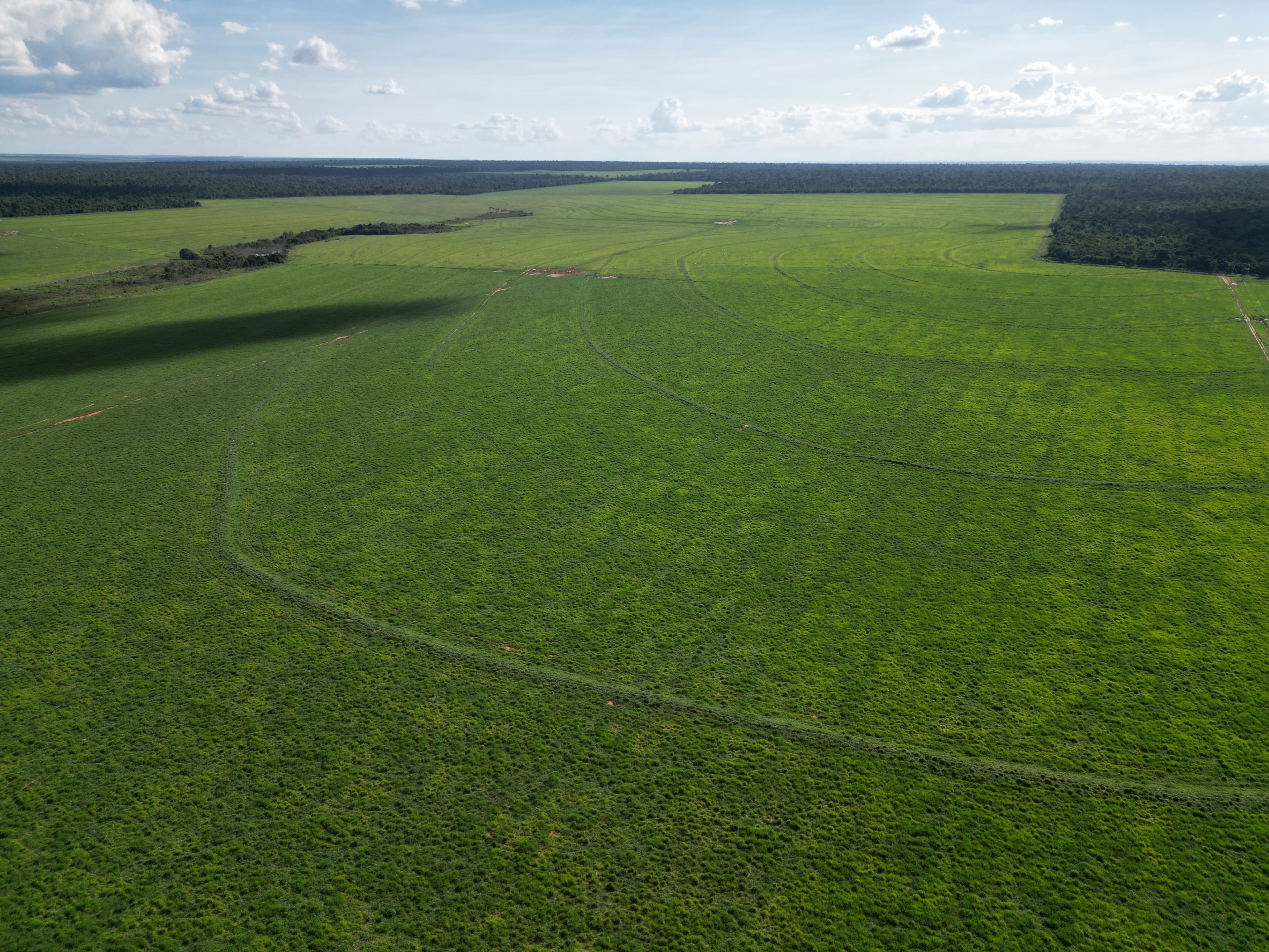 Fazenda Bonança