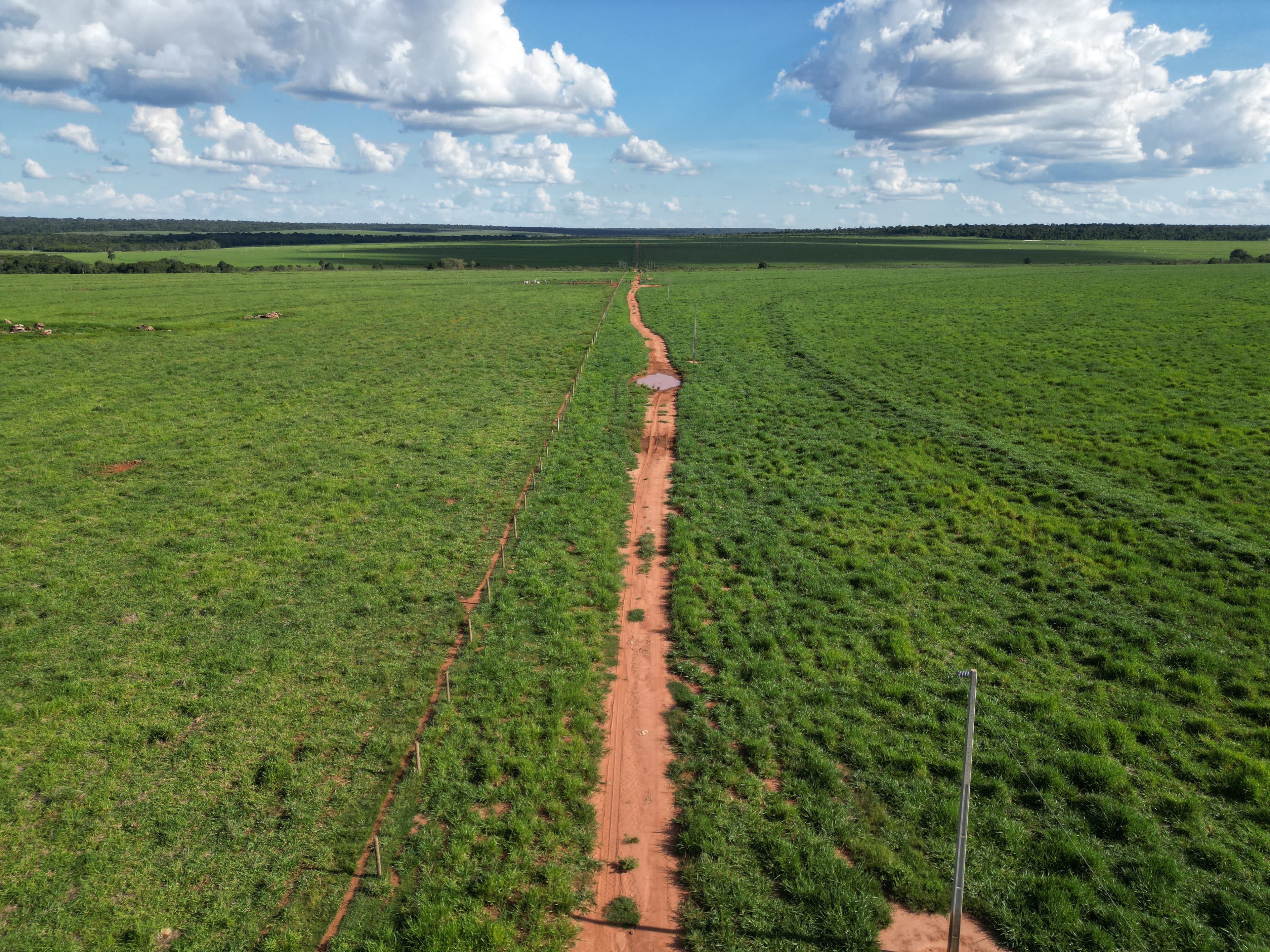 Fazenda Álamo