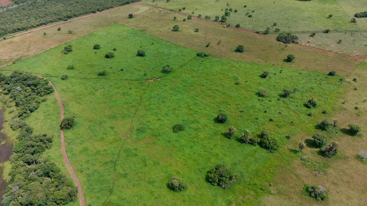 Fazenda em Rosário Oeste - ARRENDAMENTO