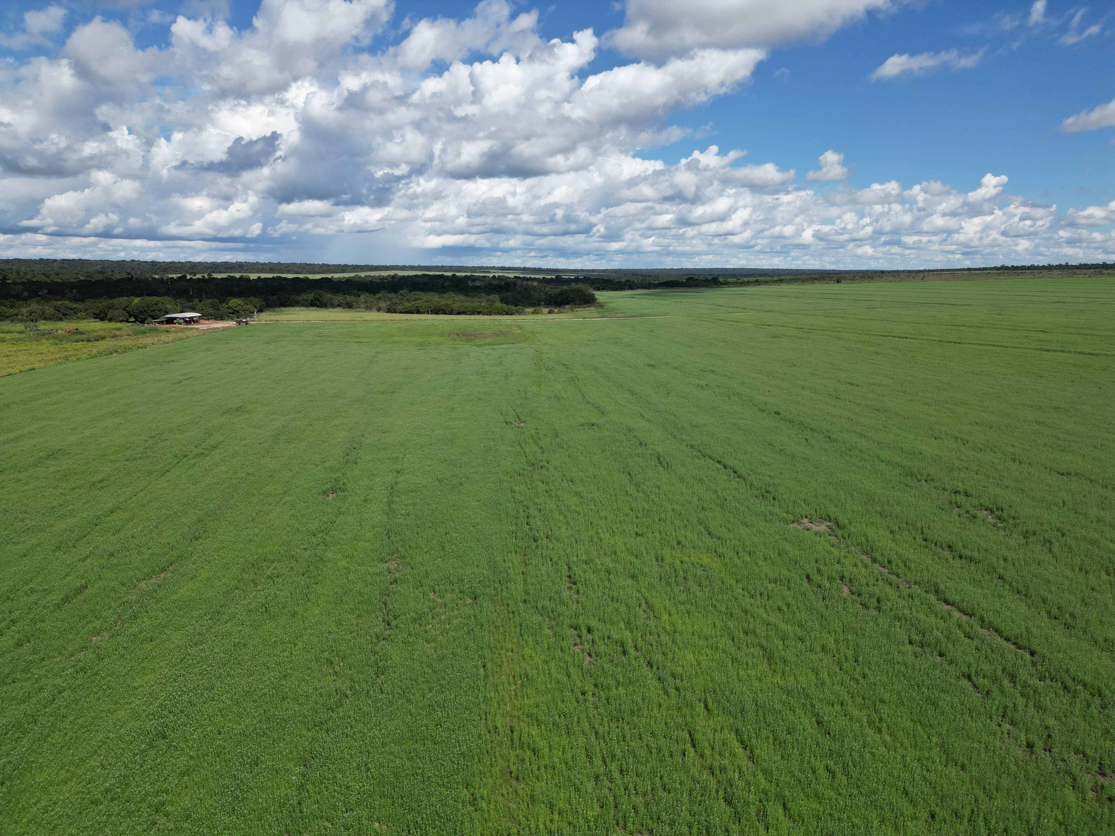 Fazenda Bonança