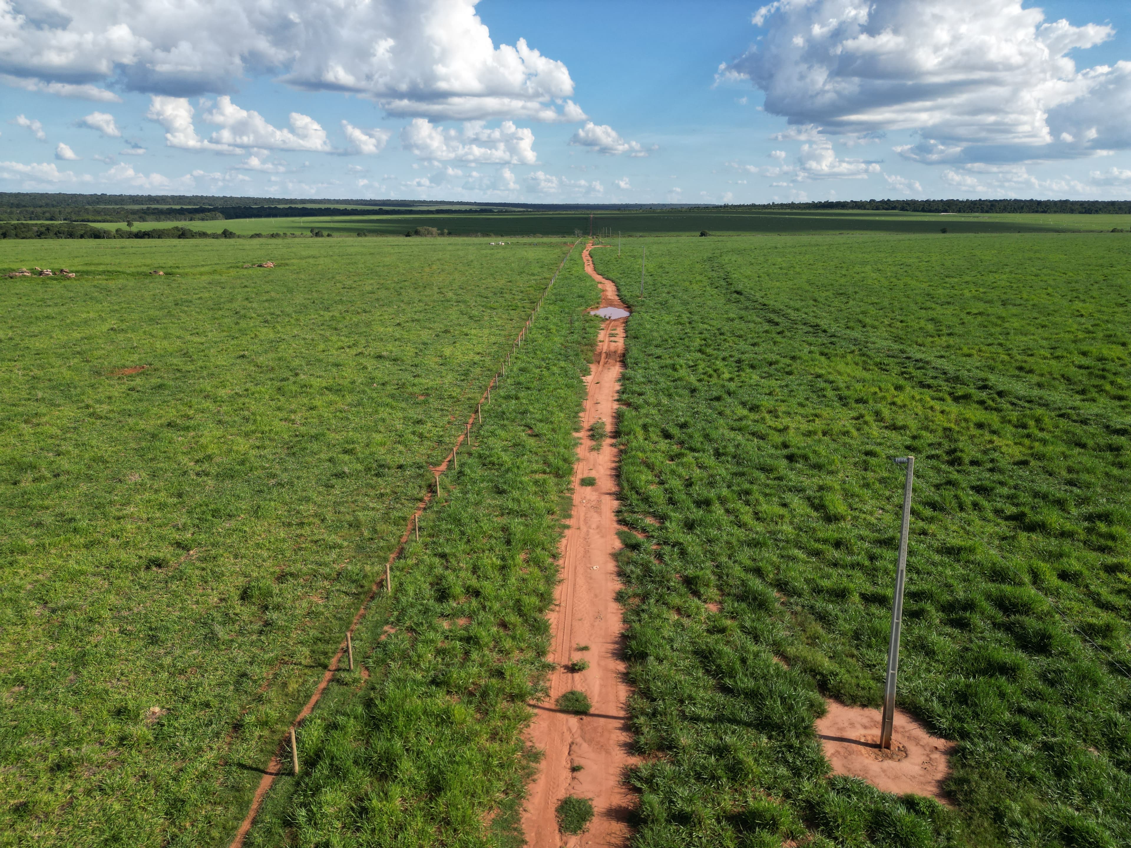 Fazenda Álamo
