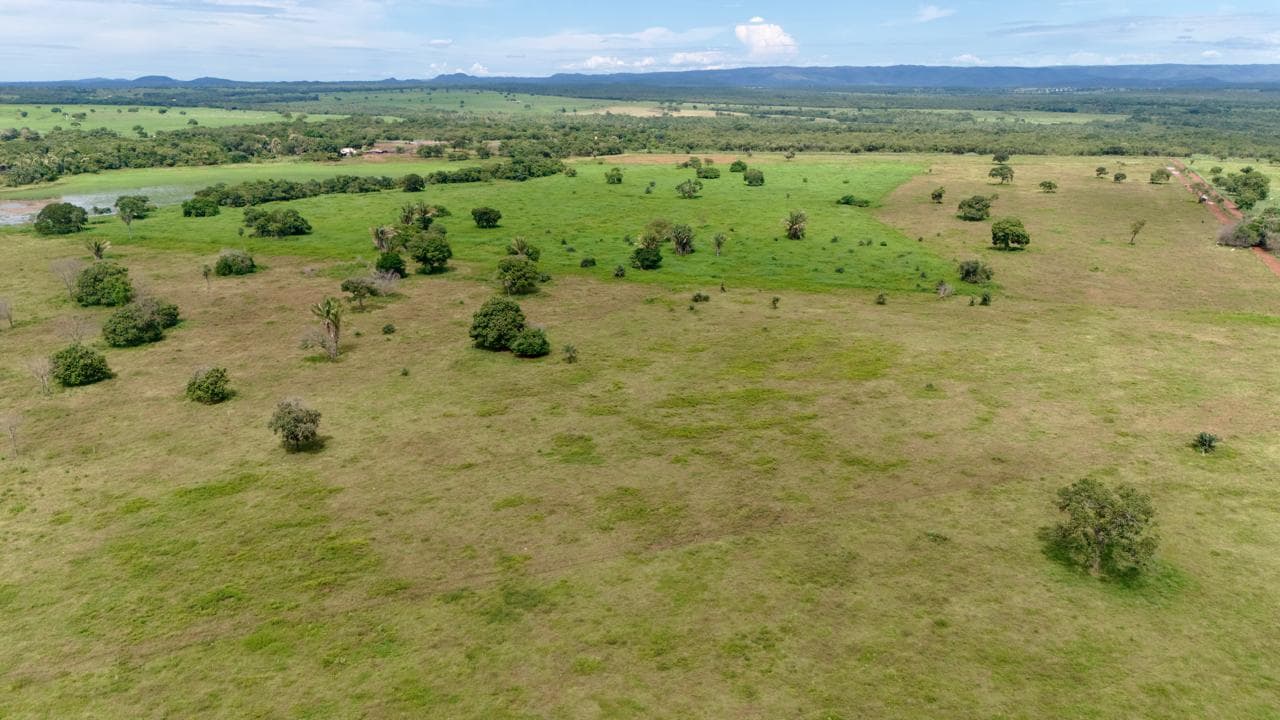 Fazenda em Rosário Oeste - ARRENDAMENTO