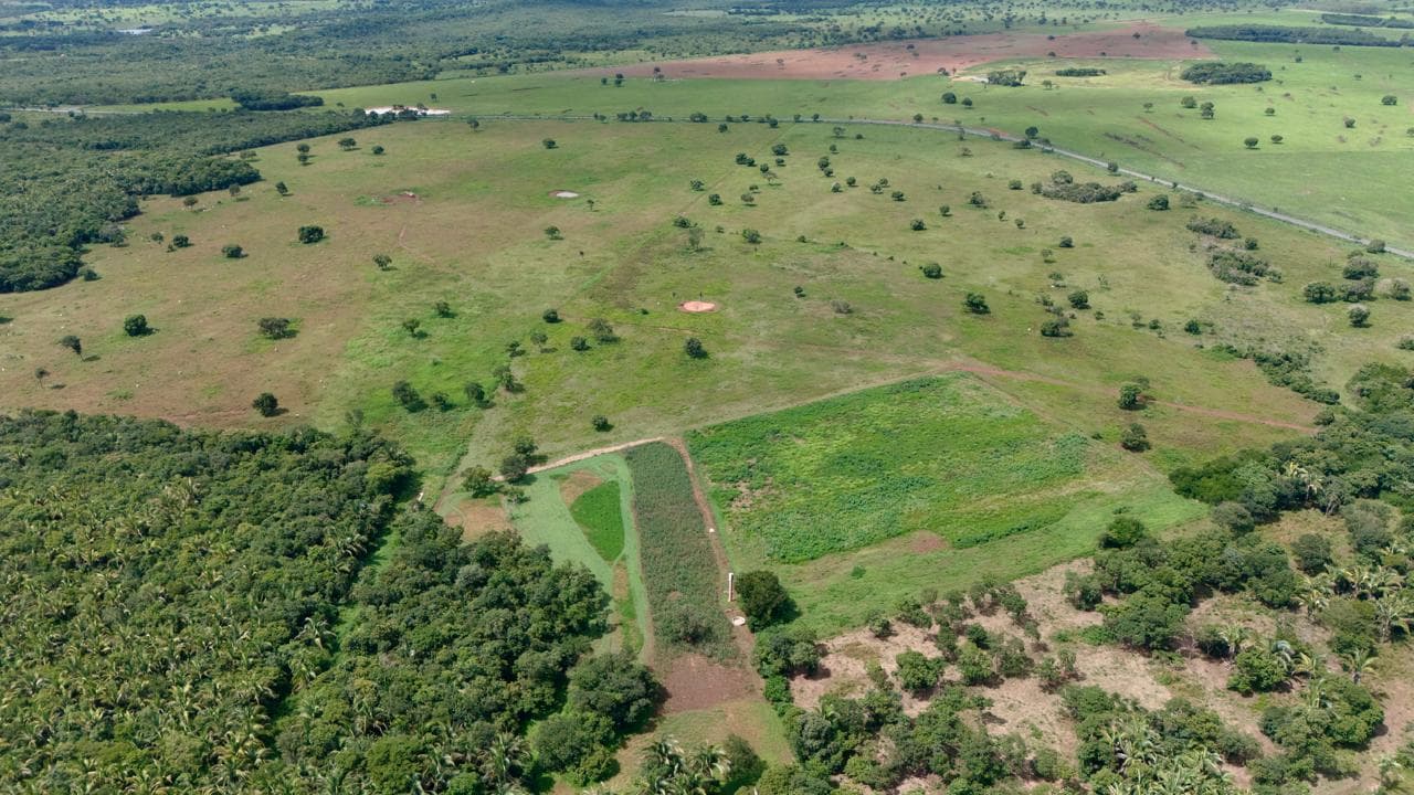 Fazenda em Rosário Oeste - ARRENDAMENTO